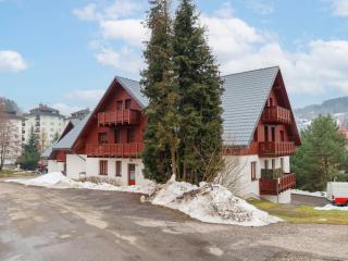 Studio Horní Rokytnice-1 by Interhome - 1