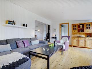Holiday Home Ilena - 16-3km from the sea by Interhome - Borup - 1