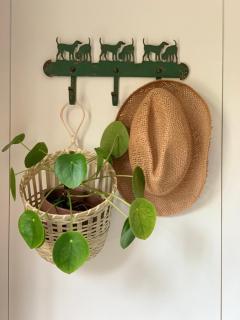 Vakantiewoning Guesthouse MOMO - 2