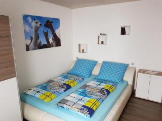 Ferienwohnung Dersch - Mauth - 1