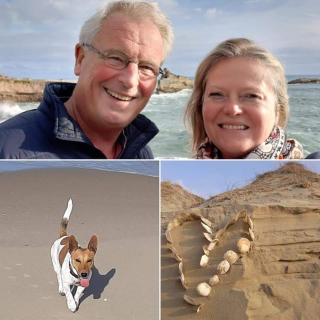 Chambres d'Hôtes "Les Pins" - Coquelles - 4