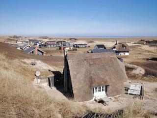 Holiday Home Analia - from the sea by Interhome - Ulfborg - 0