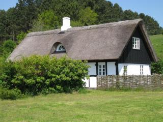 Holiday Home Eva - 1-5km to the inlet by Interhome - Knebel - 0