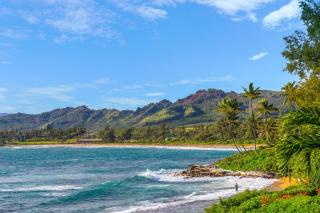 Islander On The Beach #232 - Kapaa - 4