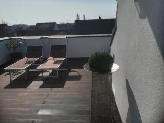 PENTHOUSE Griemann 2 für max 4 Personen mit eigener großer Dachterrasse zum Relaxen! - Illmitz - 5
