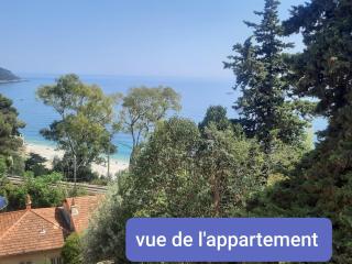 Le Golfe bleu - Roquebrune-Cap-Martin - 9