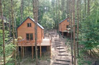 Lasoterapia (Foresttherapy) - Sopieszyno - 9