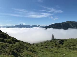 Bio Schartenalm - Mühlbach am Hochkönig - 3