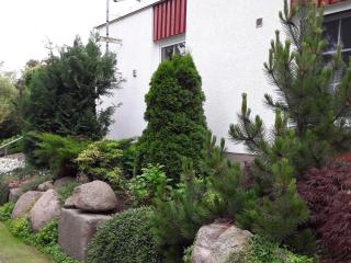 Ferienappartements zwischen Meer und Bodden App 02 - Wustrow - 8