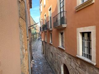 Apartamento Rovellat Casco Antiguo - 1