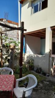 Campanita amarilla - Salta - 3