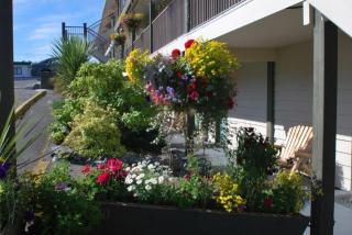 Pacific Rim Motel - 7