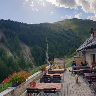 Alp Es-Cha Dadour - Madulain - 7