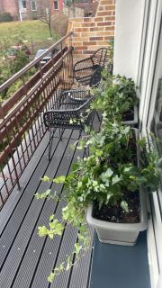 Apartament Boho - Międzyzdroje - 3