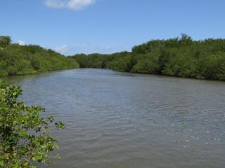 Casa Xiê com piscina, churrasqueira e jardim - 2