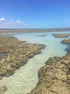 Casa Xiê com piscina, churrasqueira e jardim - 3