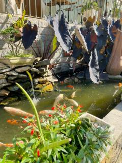 Casa Verde Petrópolis - 3