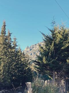 Maison de campagne dans un domaine viticole - 2