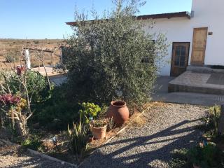 Eco Lodge Loro Tuerto - Guanaqueros - 1