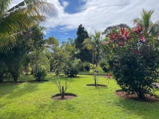 Hacienda de Los Sueños 5 chambres, vue montagnes d'Ojochal - 1