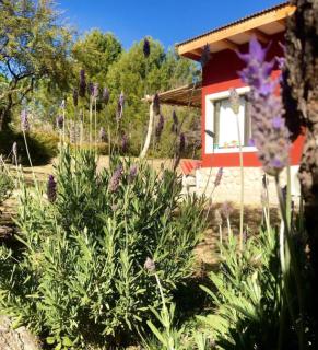Color Local Cabañas - San Javier - 3