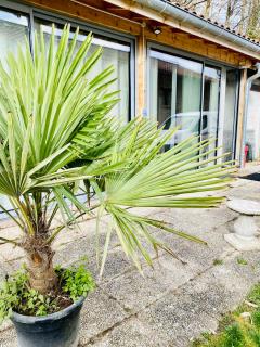 La Villa Jo - Le Grand-Lemps - 4