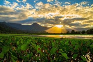 Hale Kanani Kauai TVNC 1342 - 7
