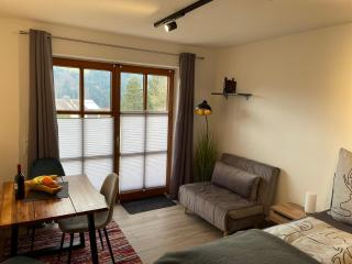 Apartment Wildbert mit Blick auf die Donau, nur Feriengäste willkommen, keine Arbeiterunterkunft! - 5