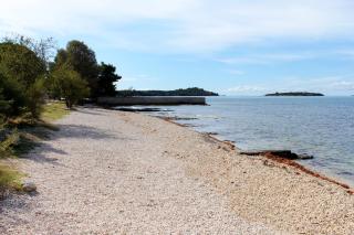 Apartments with a parking space Valbandon, Fazana - 20770 - Fažana - 8