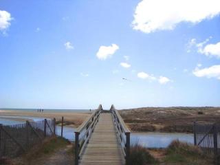 138 Soundview Avenue Chatham Cape Cod - - The Heron's Nest - 6