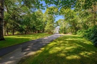 192 Great Marsh Road Centerville Cape Cod - - The Dragonfly - Centerville - 4