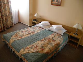 Hotel Accademia - Przemyśl - 3