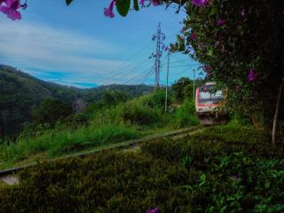 Ella Happy View Homestay - Ella - 4