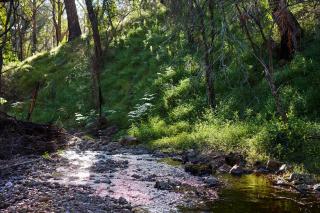 Monga Mountain Retreat - 1