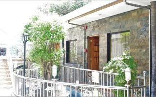 PALM TREE RESORT AND RESTAURANT - Olongapo - 1