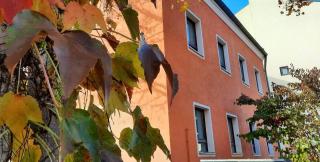 Parkside Appartement - Grafenau - 0