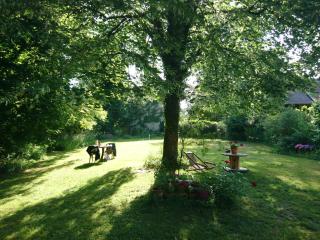 Grange rénovée et son jardin dans l'Avant Pays Savoyard - Champagneux - 2