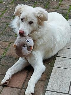 dimorafelice.sarteano - 4