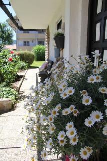 Am Schmuggerbühl - Bodenmais - 3