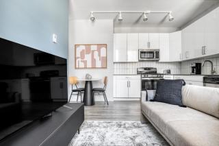 Loop 1BR w Gym Roof Lounge same block as L CHI-670 - 8