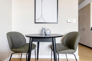 Lincoln Park Studio w WD nr L New City CHI-316 - Chicago - 5