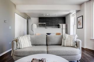 South Loop 2br nr L Grant Park CHI-803 - 8