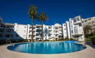 PALMERAS 72 MENYBER - 7