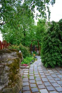 Vadrózsa Panzió Szentendre - 1