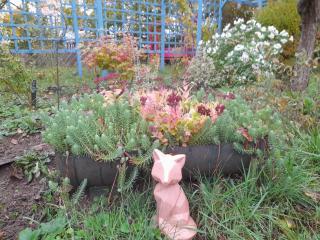 Au Moulin de la Tour - 6