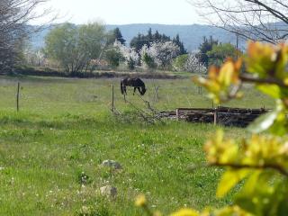 Campagne de Saint Clair - Pertuis - 4