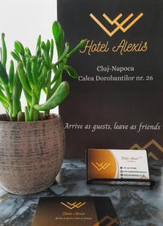 Hotel Alexis - Cluj-Napoca - 0