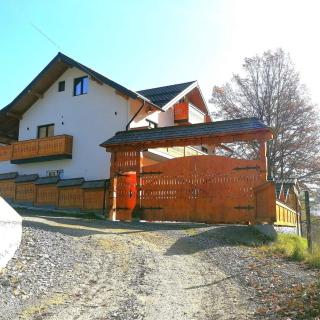 CASA TOMOIAGA - Vişeu de Sus - 7