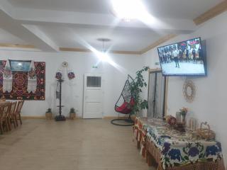 CASA TOMOIAGA - Vişeu de Sus - 3