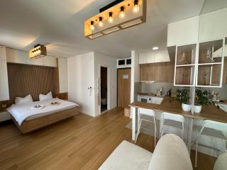 Selena apartment - Belgrade - 2